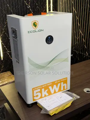 Ecolion 24V 5kWh Power Storage Battery