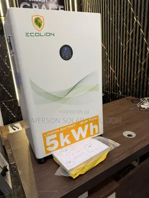 Ecolion 24V 5kWh Power Storage Battery
