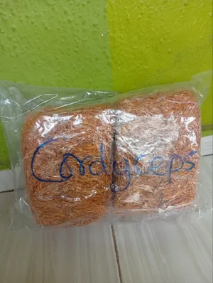 Cordy Cesp Root