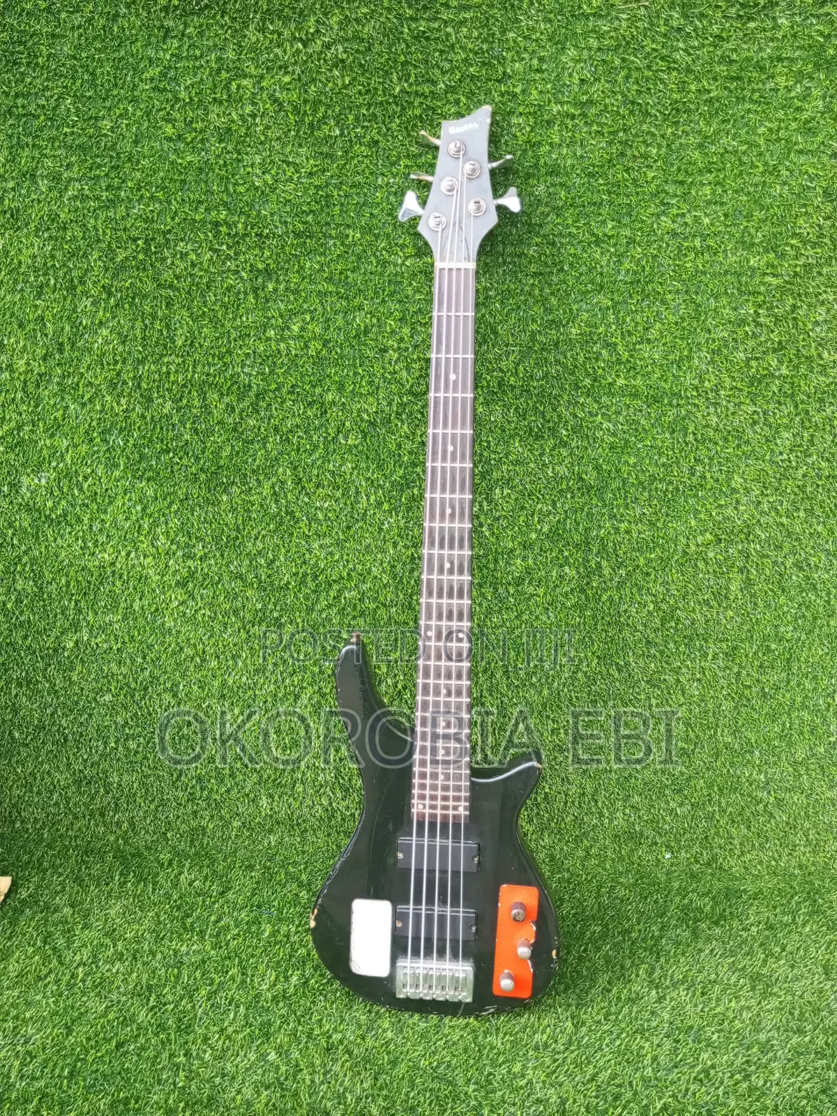 Five String Bass Guitar