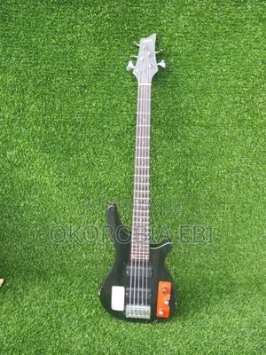Five String Bass Guitar