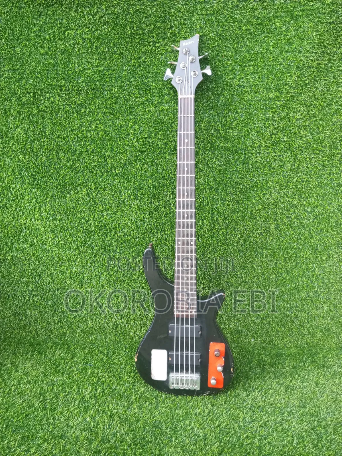 Five String Bass Guitar