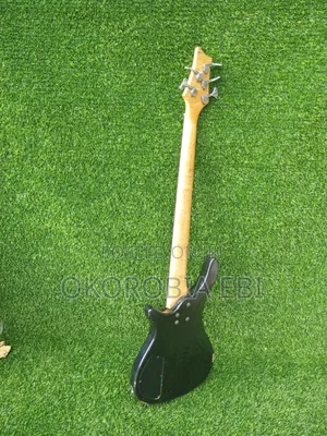 Five String Bass Guitar