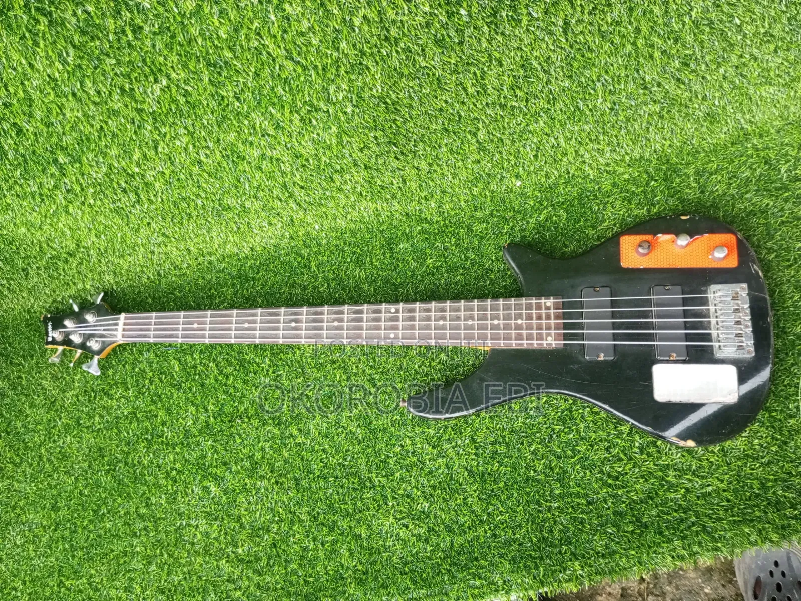 Five String Bass Guitar