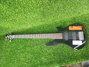 Five String Bass Guitar
