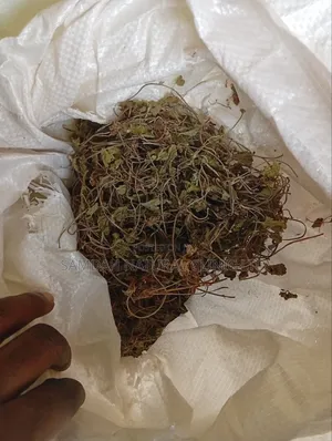 Gotu Leola Leaf