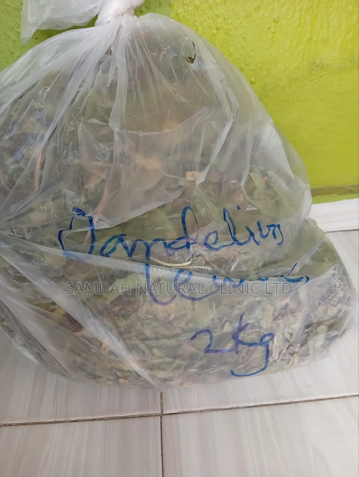 Dandelion Leaves