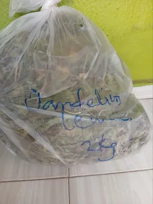 Dandelion Leaves