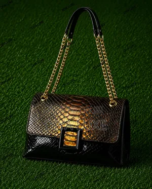 Beautiful Ladies Handbag