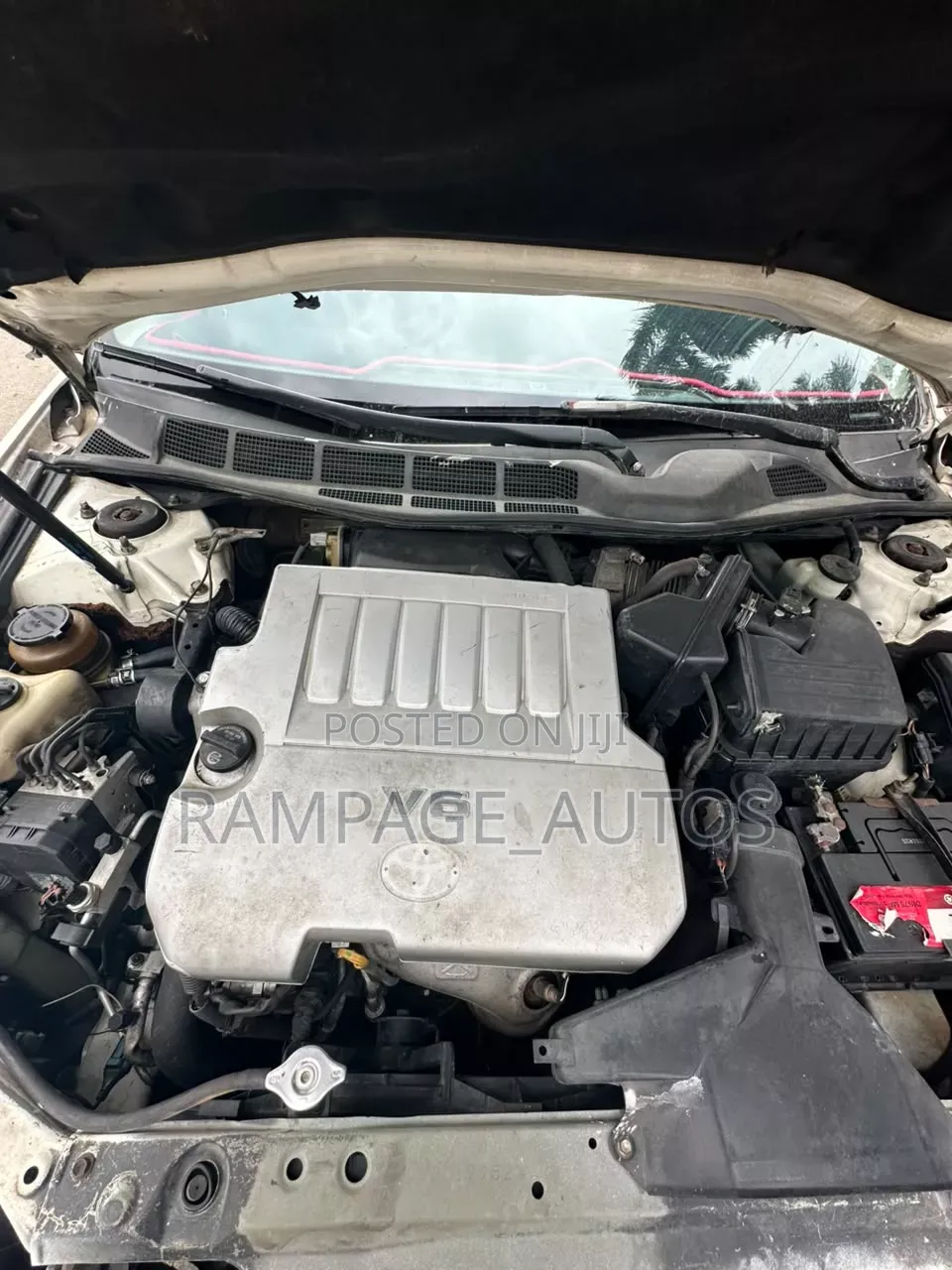 Toyota Avalon 2008 White