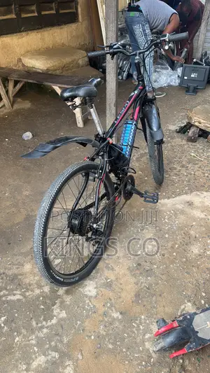 Converted Electric Bike