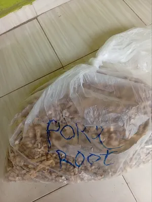 Poke Root Herbs