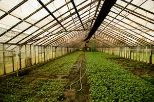 Commercial Greenhouse Construction Nigeria | Lagos