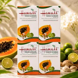 HAWAII Papaya Soap (Pack of 4)