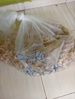 Poke Root Herbs