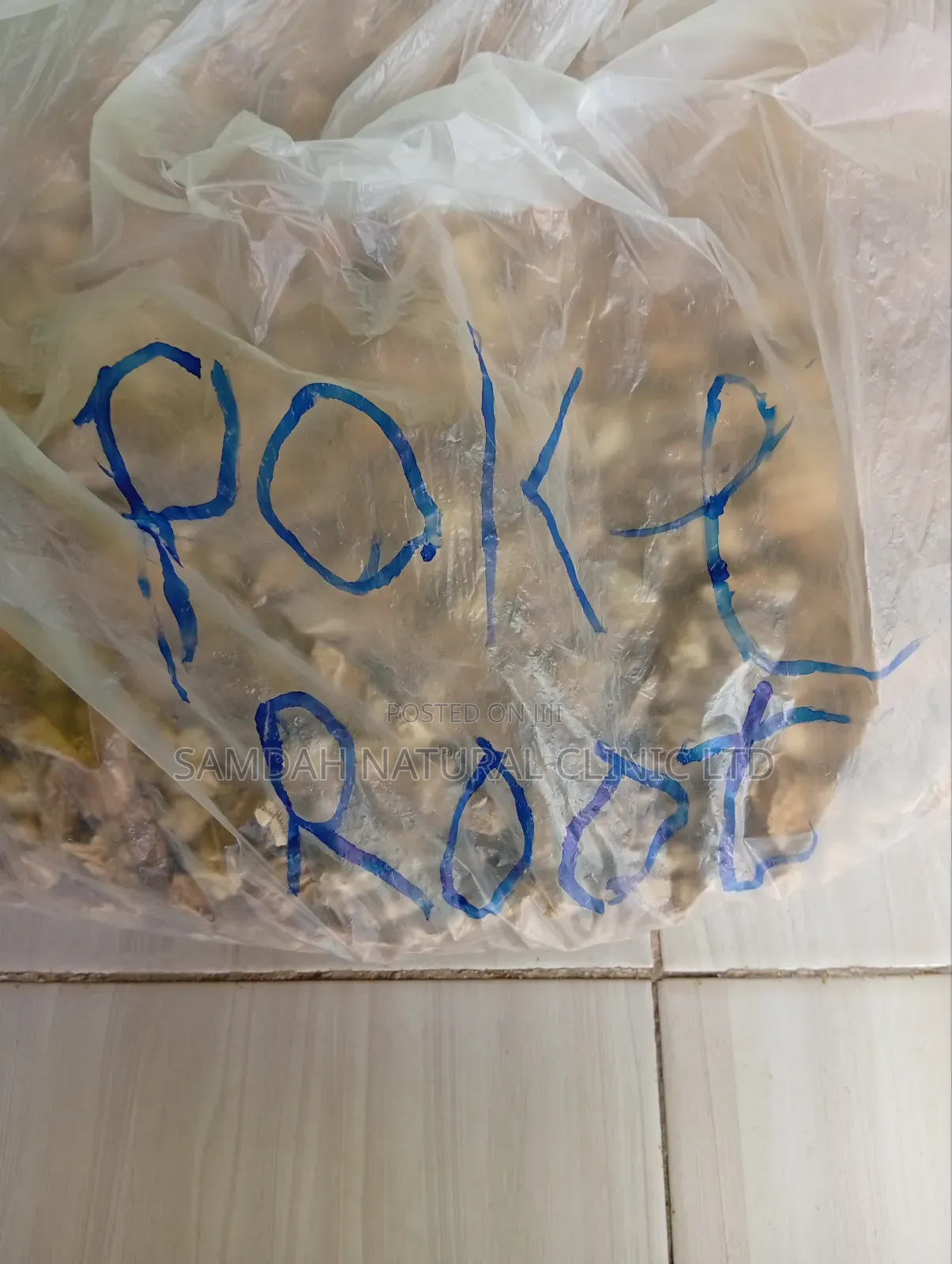 Poke Root Herbs