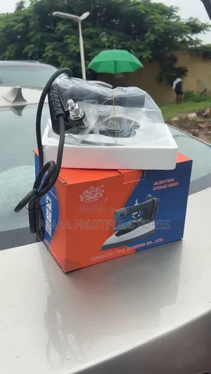 Two Lion Steam Iron