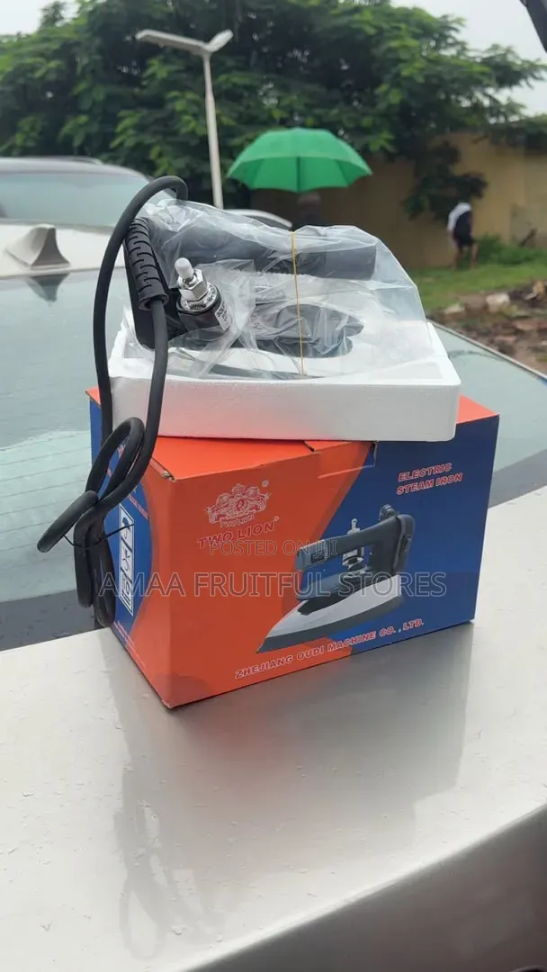 Two Lion Steam Iron