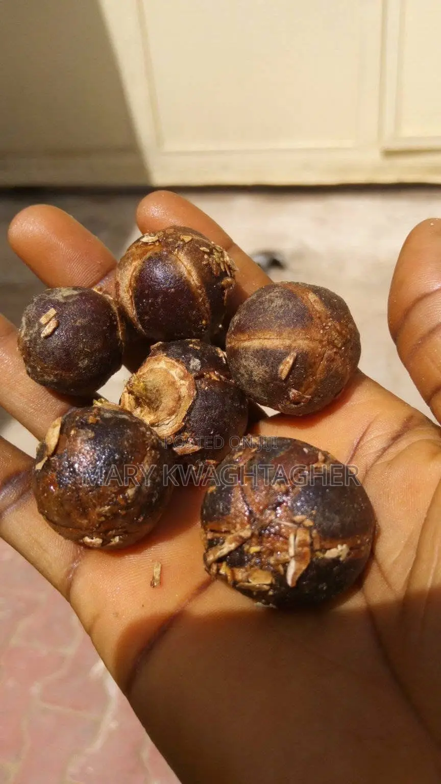 Juicy Kenya Goron Tula