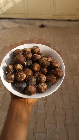 Juicy Kenya Goron Tula
