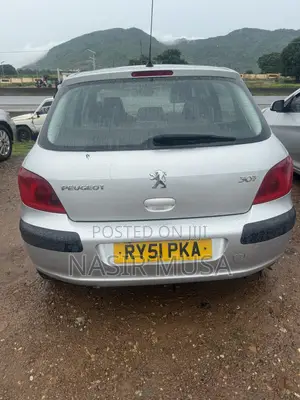 Peugeot 307 2007 Silver