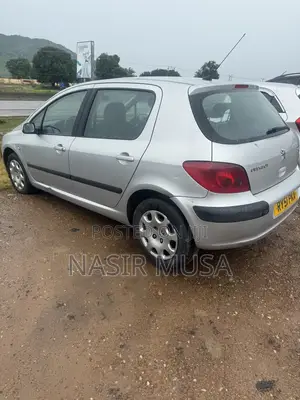 Peugeot 307 2007 Silver