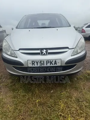 Peugeot 307 2007 Silver
