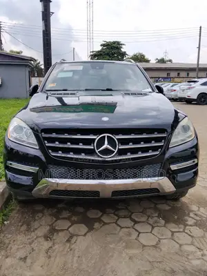 Mercedes-Benz M Class 2014 Blue