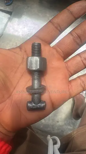 Scaffold Clip / Bolt and Nut