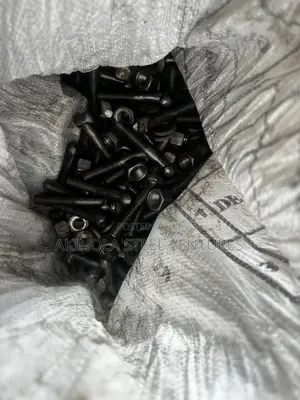 Scaffold Clip / Bolt and Nut