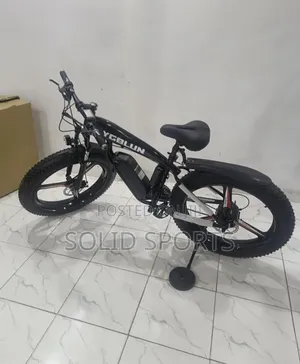 Electric Fat Tyre Bike