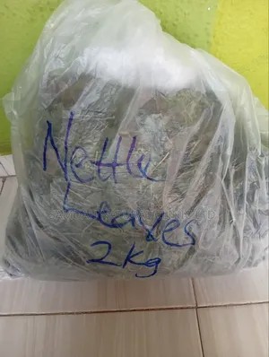 Nettle Herbs Leaves