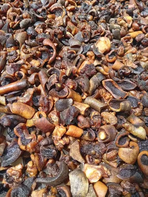 Bokoto/ Cow Leg