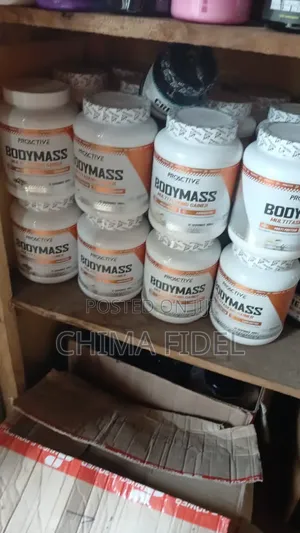 Proactive Bodymass Protein Gainer