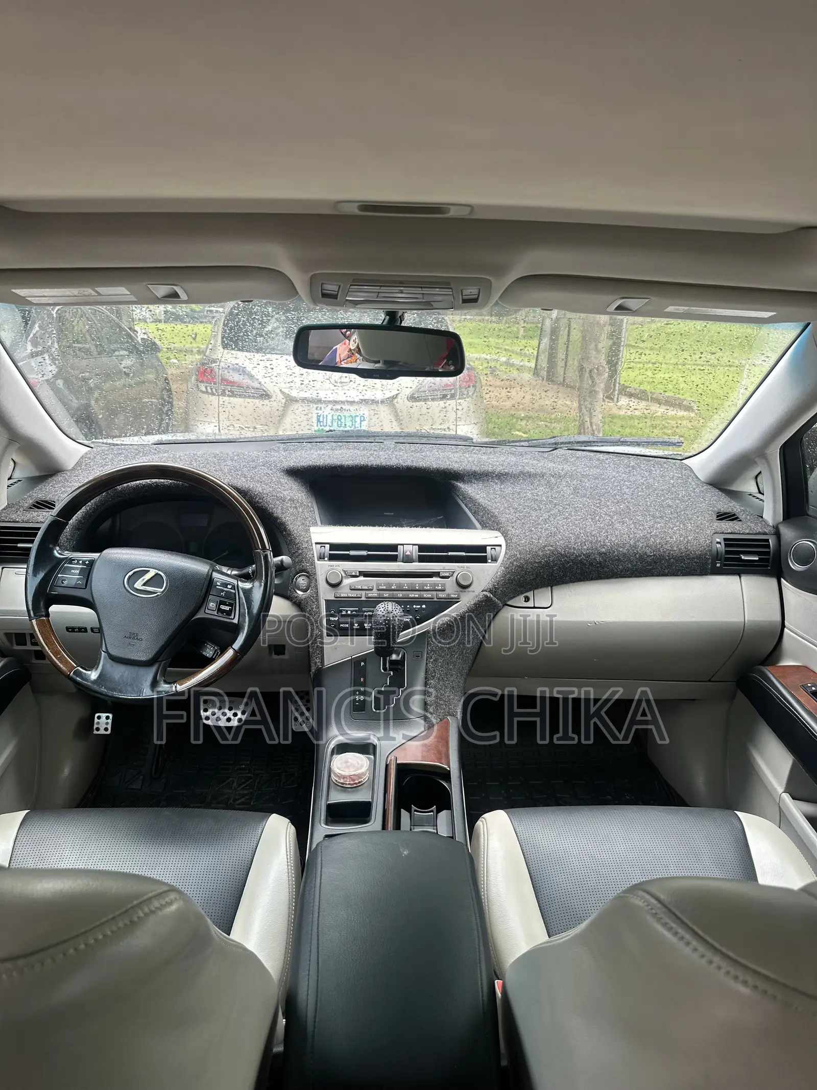 Lexus RX 2010 Silver