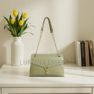 Elegant Women’s Chain Shoulder Bag
