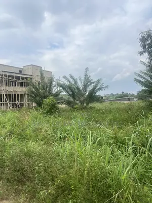 A 1009sqm Size of Land in Alagbaka Gra