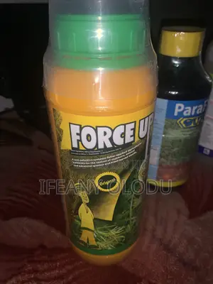 Pest Control Services