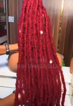 Braid Wigs