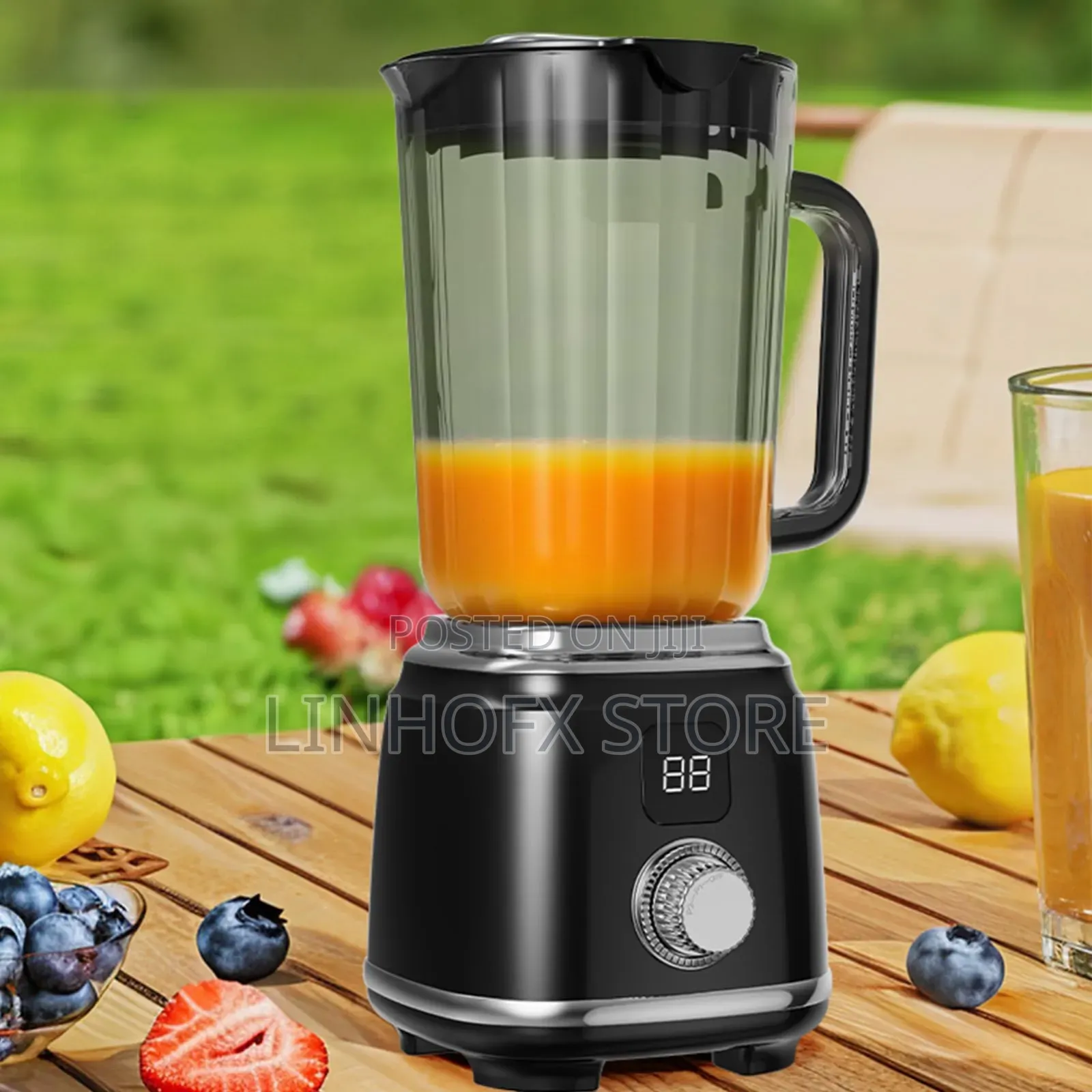 Citrus Juicer