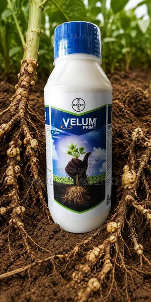 Velum Prime 100 Ml