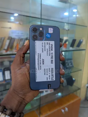 Apple iPhone 12 Pro Max 256 GB Blue