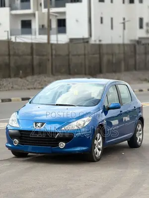 Peugeot 307 2007 Blue