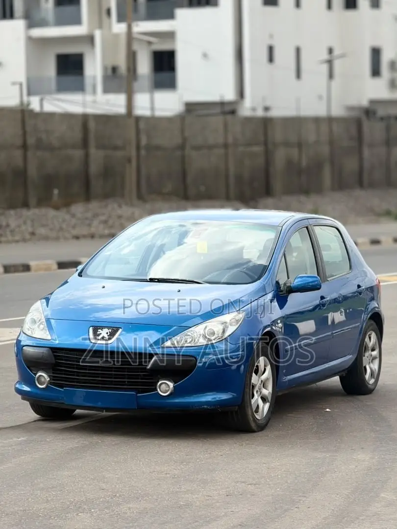 Peugeot 307 2007 Blue