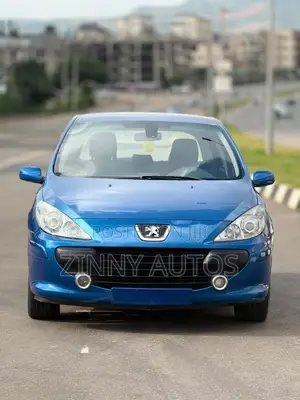 Peugeot 307 2007 Blue