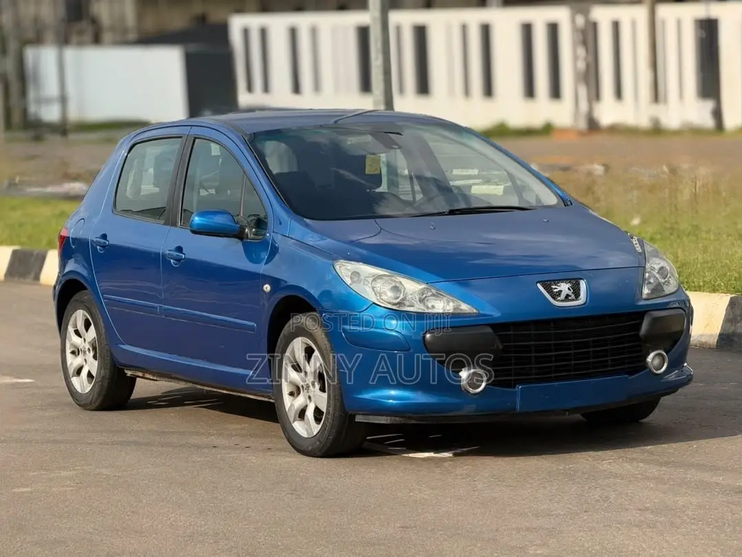 Peugeot 307 2007 Blue
