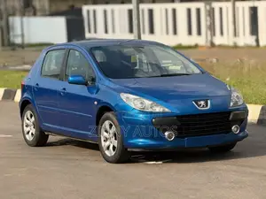 Peugeot 307 2007 Blue