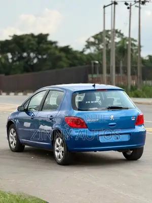 Peugeot 307 2007 Blue