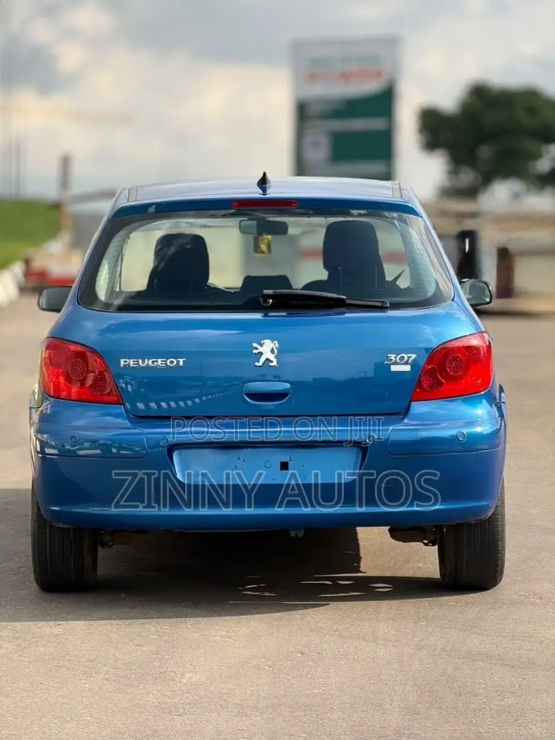 Peugeot 307 2007 Blue