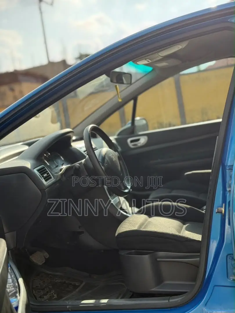 Peugeot 307 2007 Blue
